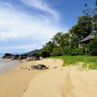 Importance of Eco-tourism in Madagascar An image of a palm thatched tree-house at the Masoala Forest Lodge overlooking the stunning beach.