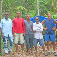 Lemur Survey Team