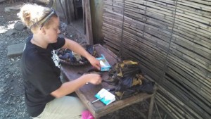 Haley collecting hair samples from bushmeat in northern Madagascar.