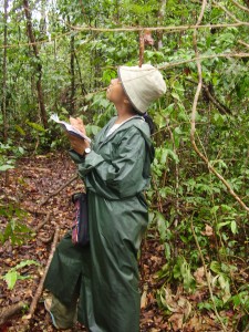 Sylviane collecting data in Madagascar.