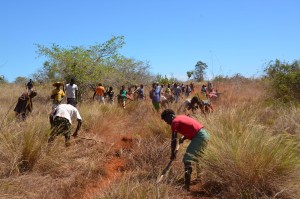 Constructing a fire break with the help of local communities.