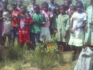 Reforestation outreach in rural Malagasy communities.