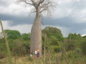 Helena Azafady ACPs by a baobab