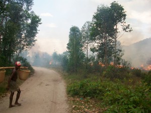Bush fires represent a threat to lemurs in many areas in Madagascar.