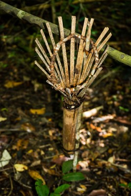 A lemur trap (used to hunt lemurs) in a protected area.
