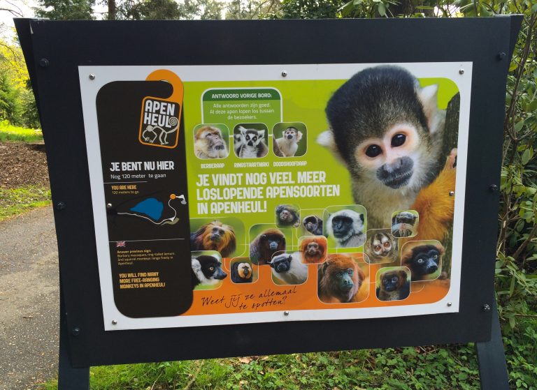 A Visit To The Apenheul Primate Park In The Netherlands – Lemur ...