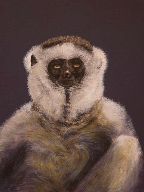 Verreaux’s sifaka watercolour