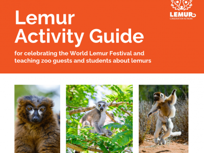 ActivityGuideCover