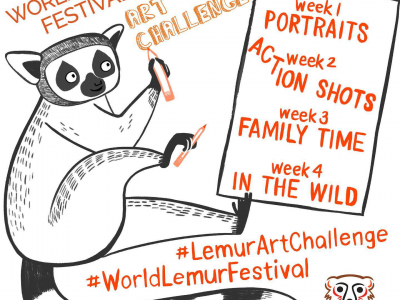 WLF-lemurartchallenge